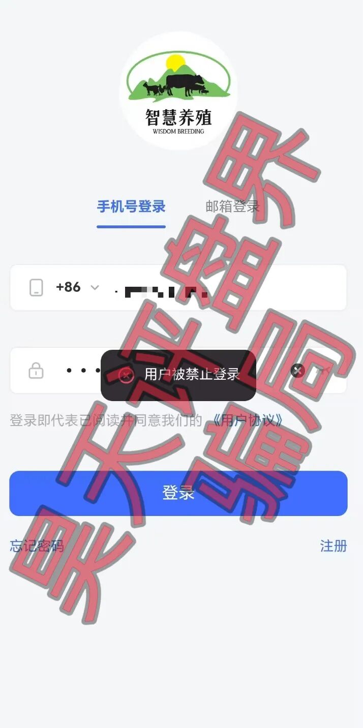 原文相关图片4