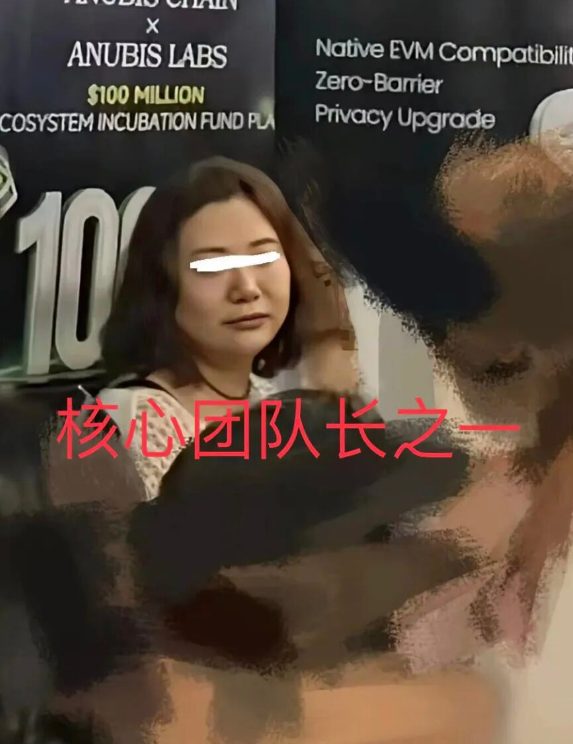 原文相关图片5