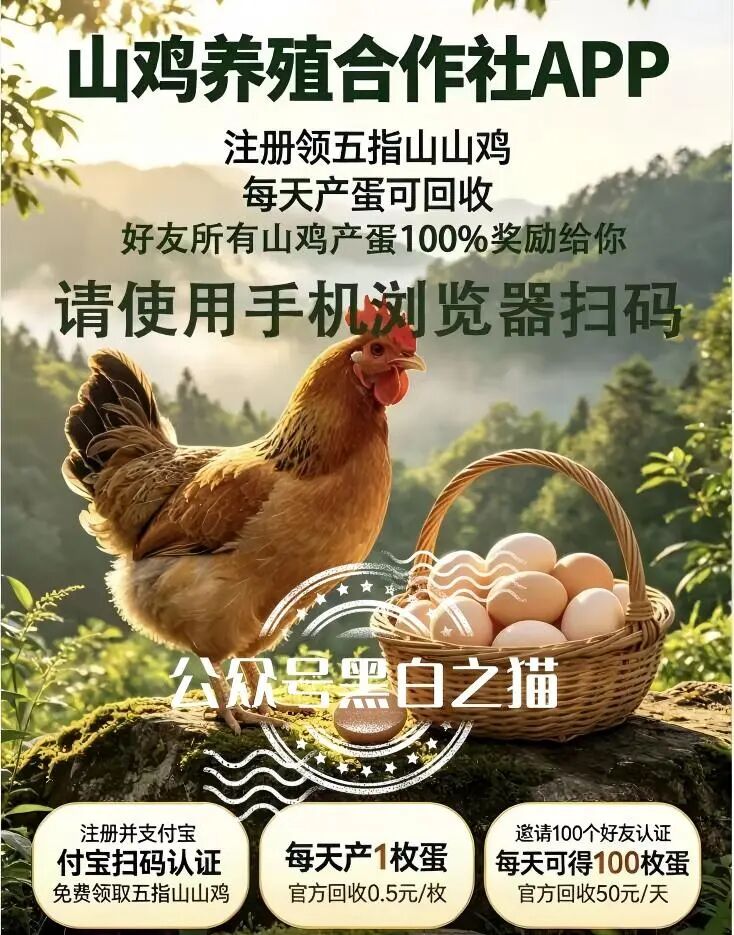 原文图片